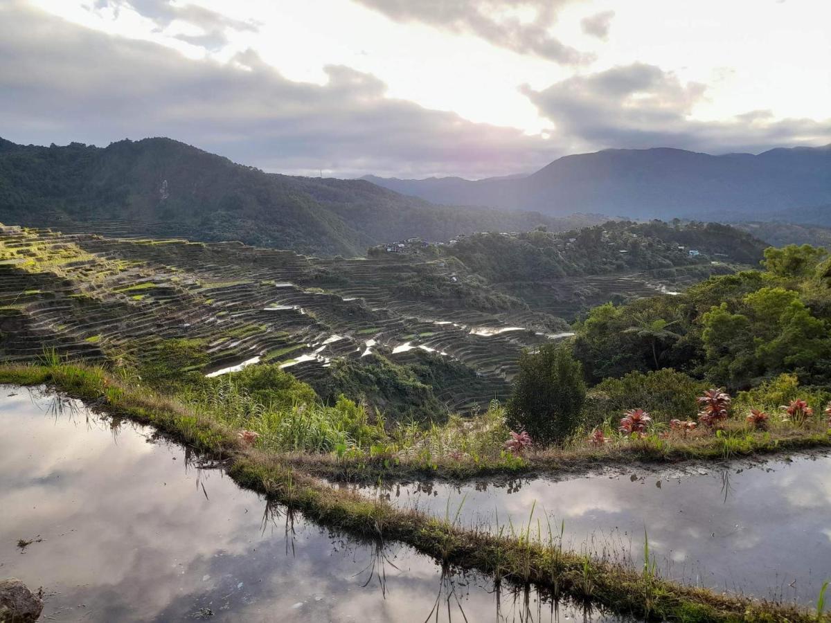 Vilma'S Homestay Bontoc  Εξωτερικό φωτογραφία